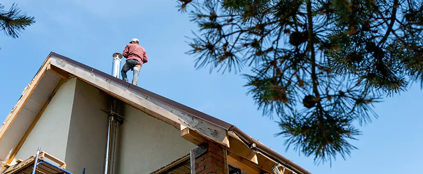 Birds Removal Contractors from Chimney in El Reno, OK